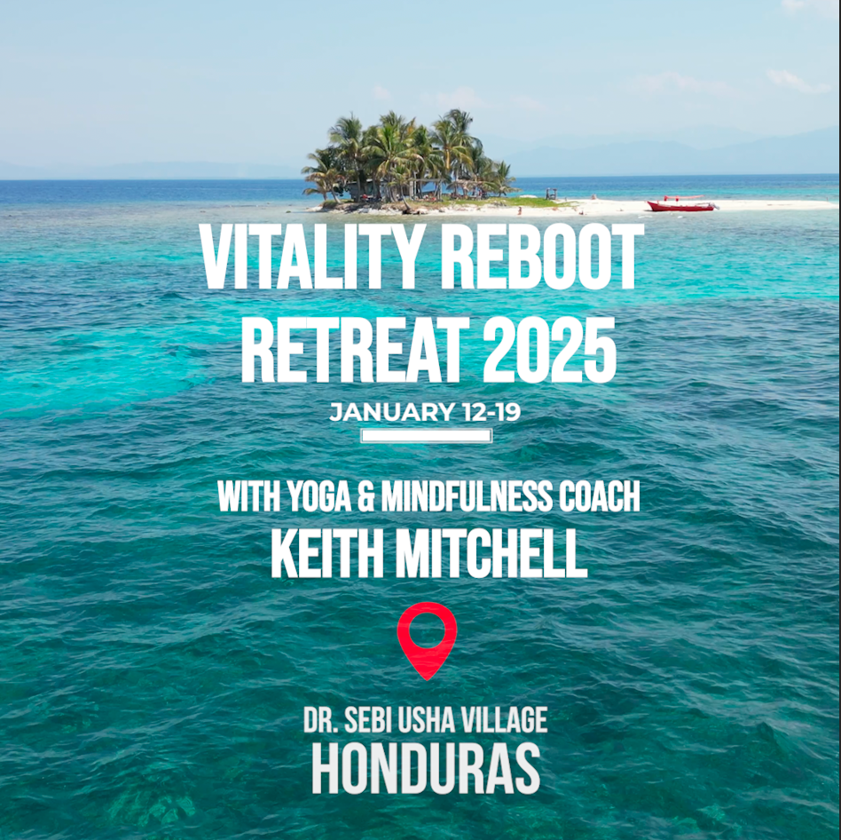 Vitality Reboot Retreat 2025 at Dr. Sebi Usha village